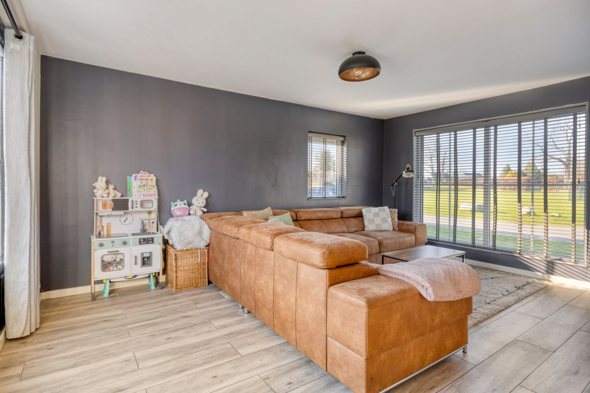 Living Room Renovation — After